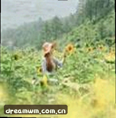 张磊